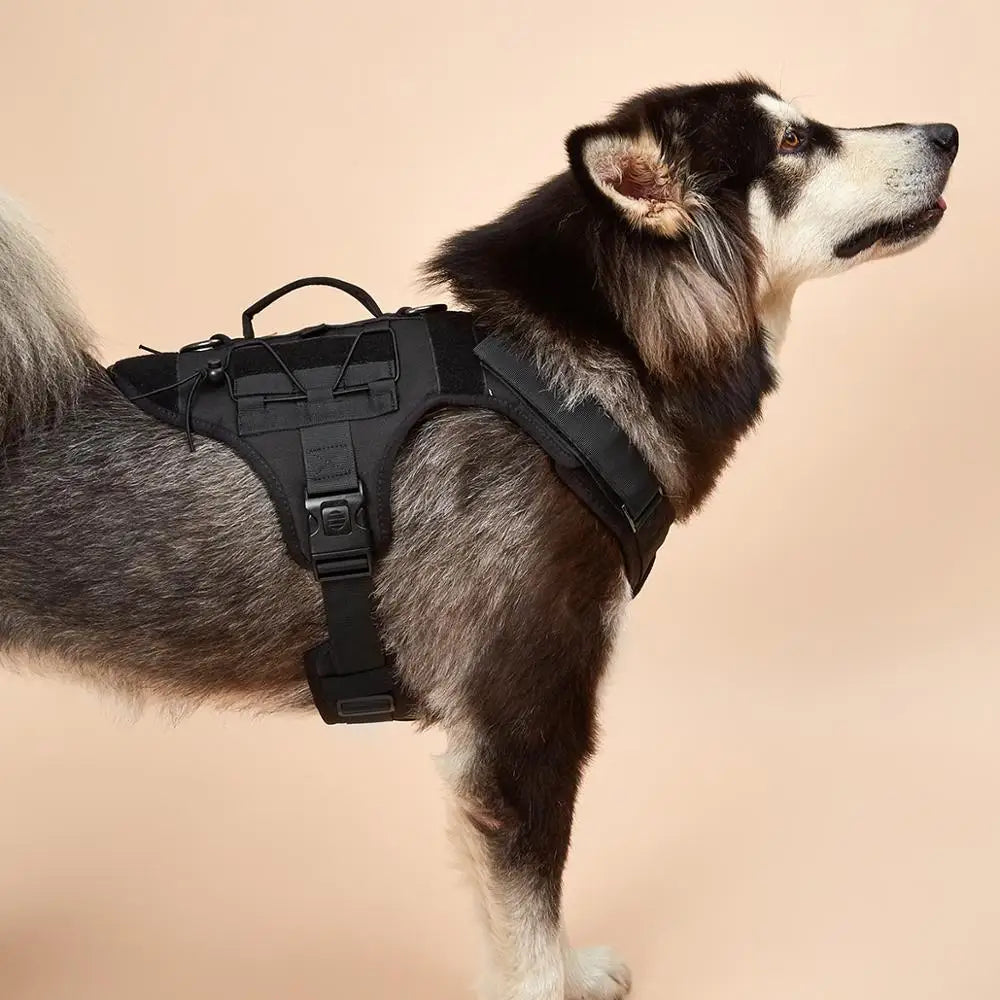 BarkBoot Ranger Pro Tactical Dog Harness — fit and hardware detail