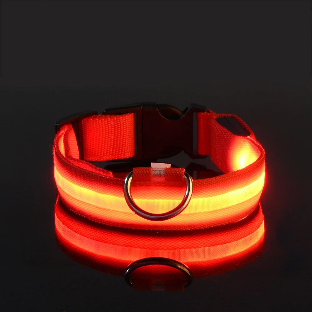 BarkBoot NightWatch LED Safety Dog Collar — Red