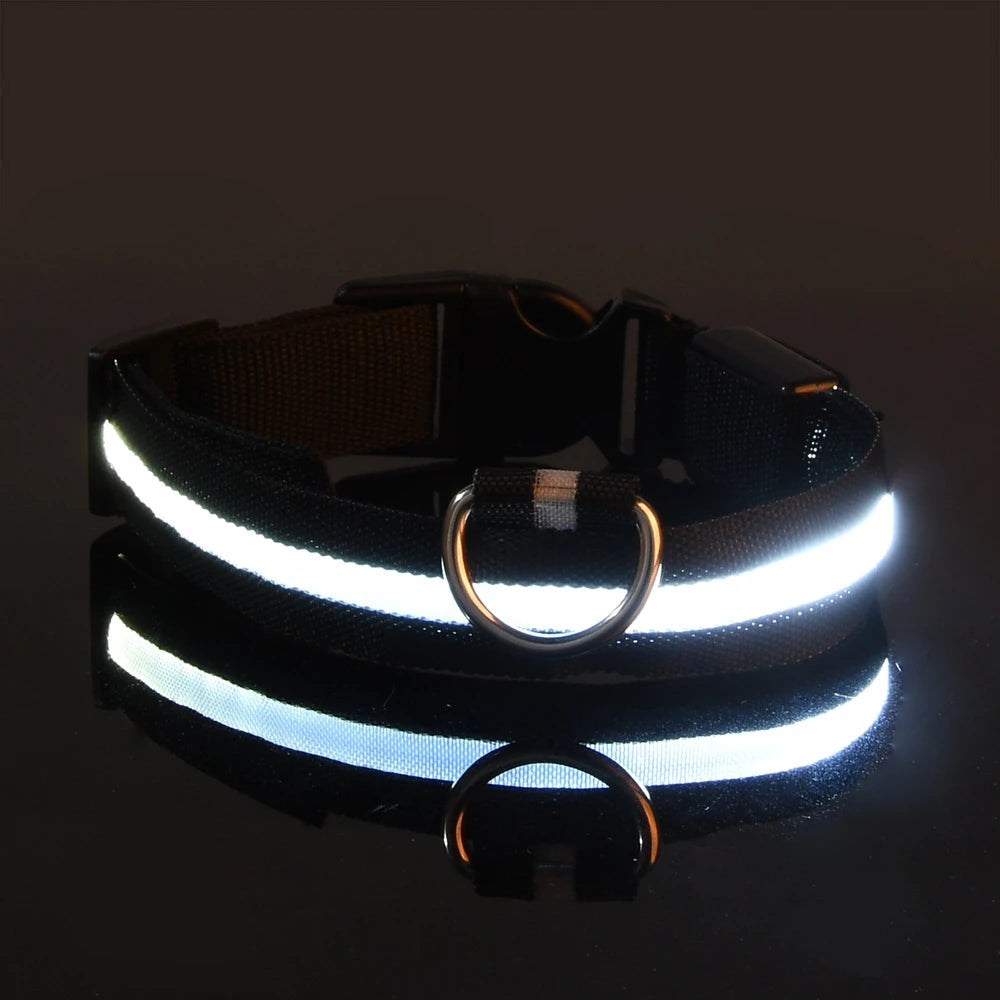 BarkBoot NightWatch LED Safety Dog Collar — Black