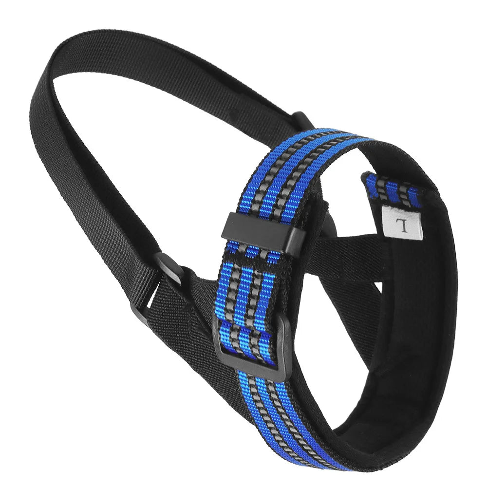 BarkBoot FieldGuard Adjustable Dog Muzzle — Blue