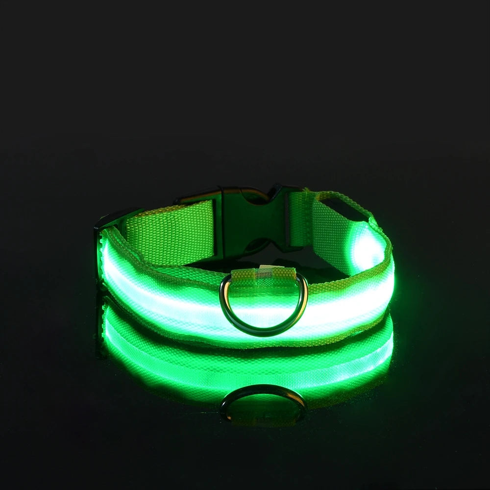 BarkBoot NightWatch LED Safety Dog Collar — Green