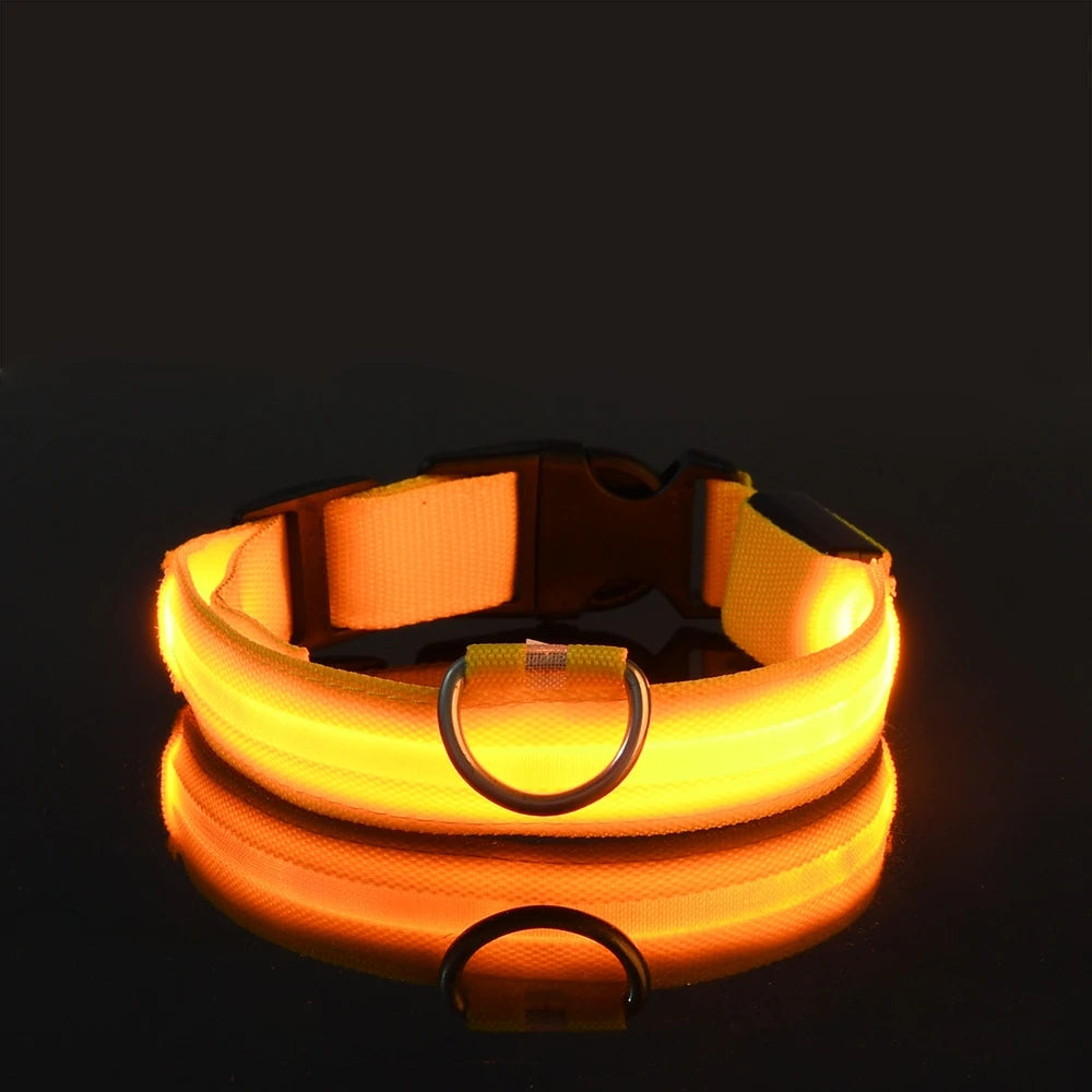 BarkBoot NightWatch LED Safety Dog Collar — Yellow