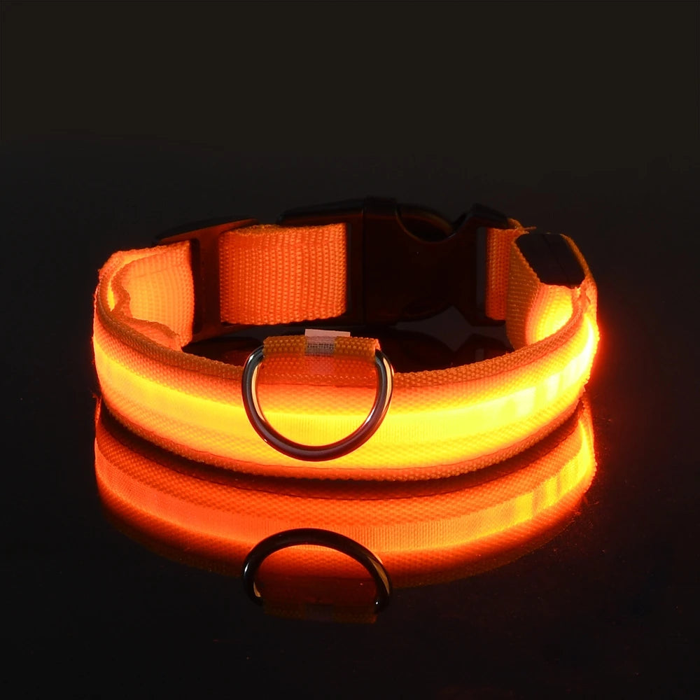 BarkBoot NightWatch LED Safety Dog Collar — Orange