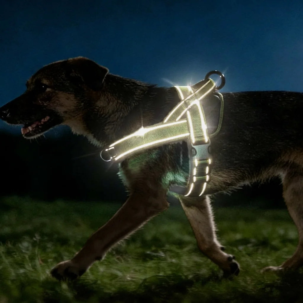 BarkBoot Sentinel Reflective No-Pull Tactical Harness — product detail 4