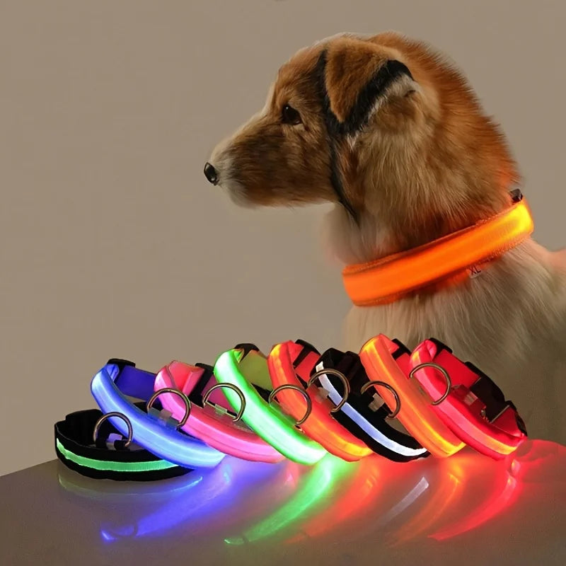 BarkBoot NightWatch LED Safety Dog Collar