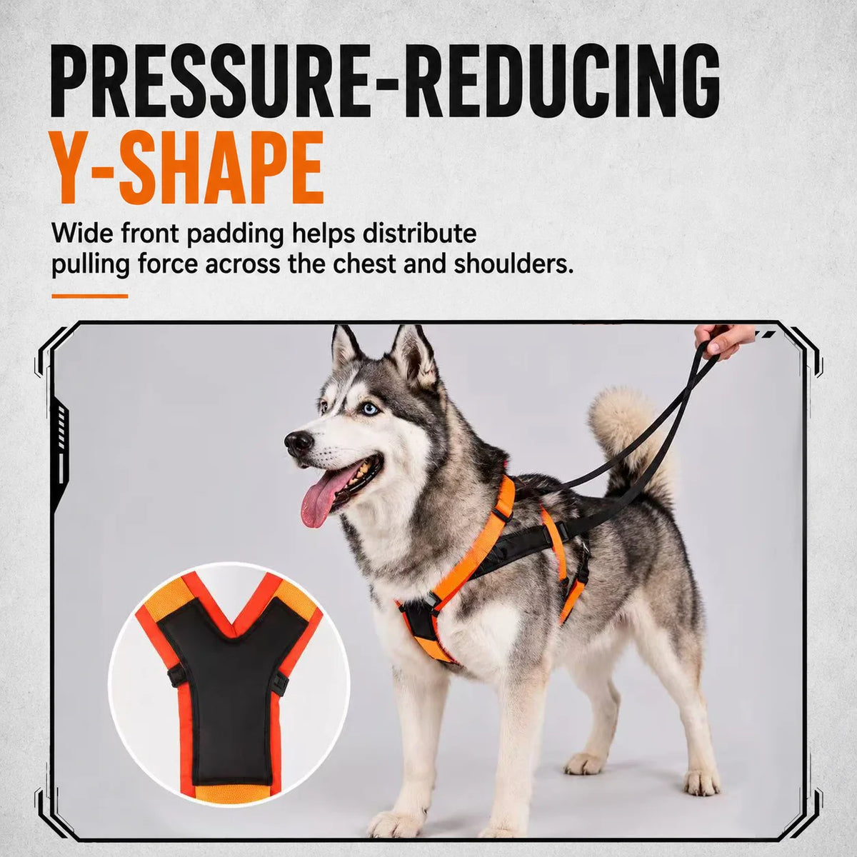 BarkBoot TrailForce Heavy-Duty Harness & Leash Set — product detail 4