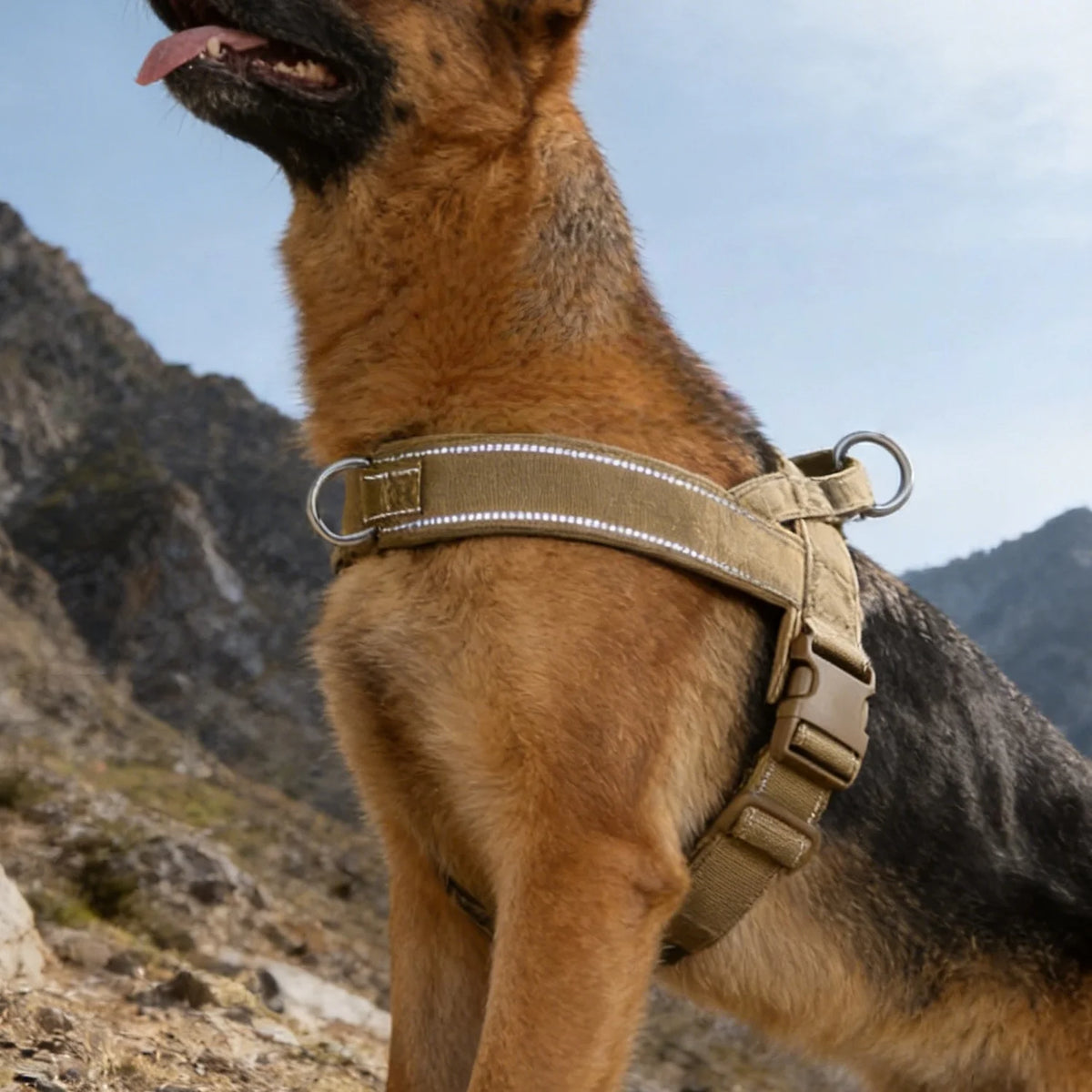 BarkBoot Sentinel Reflective No-Pull Tactical Harness