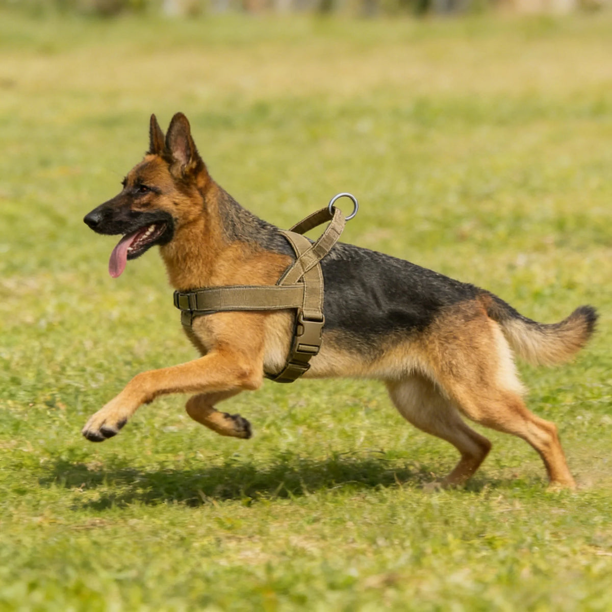BarkBoot Sentinel Reflective No-Pull Tactical Harness — product detail 2