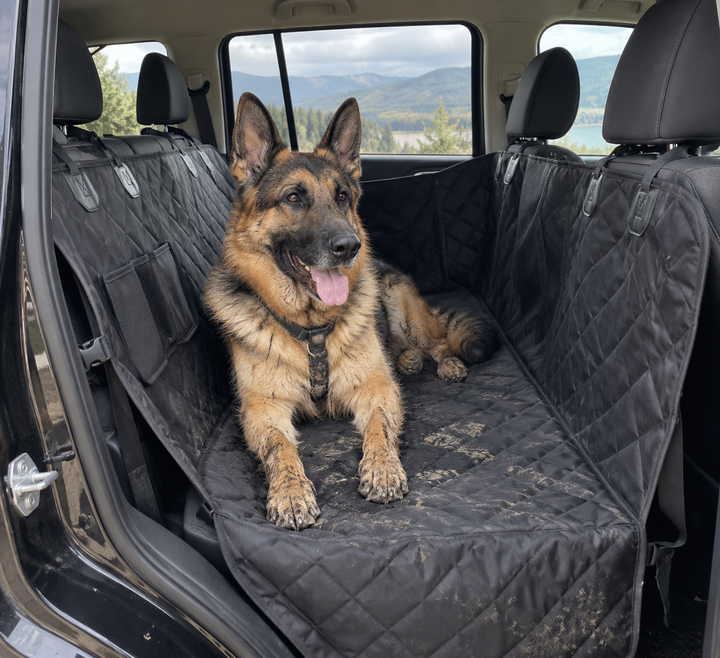 Creed riding on the BarkBoot RoadGuard Waterproof Dog Car Hammock
